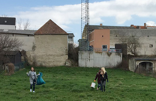 Beitragsbild Flurreinigung HAK Neusiedl